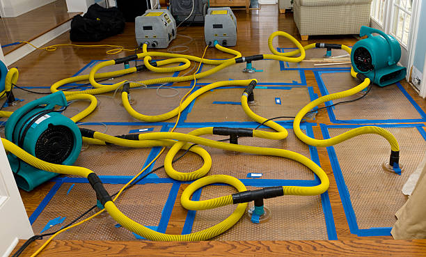 Professional Water Damage Repair technician working in Prairie Village, KS